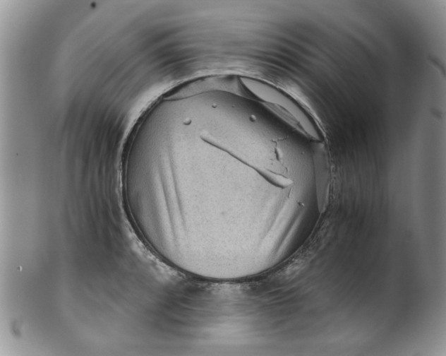 X0000099491088200806051053