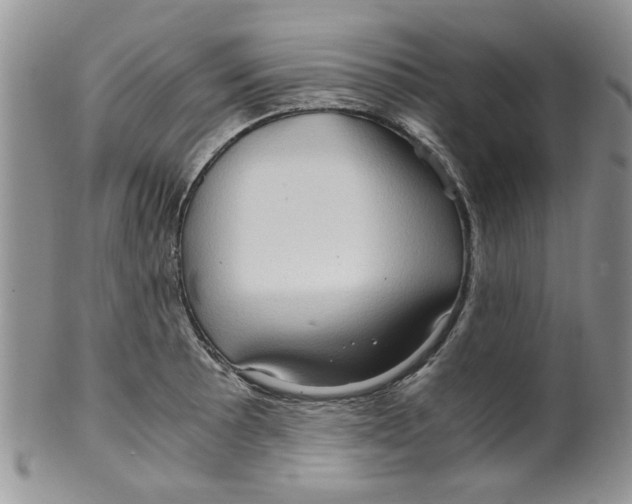 X0000099491089200806051053