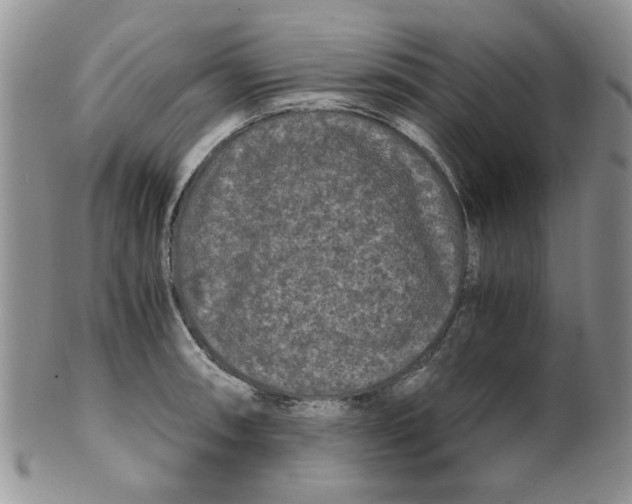 X0000099491090200806051053