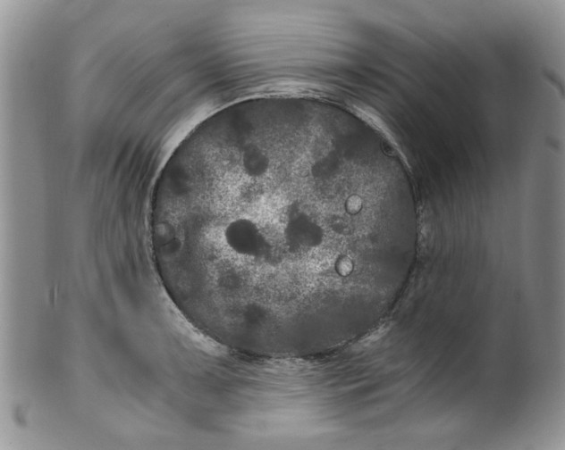 X0000099491091200806051053