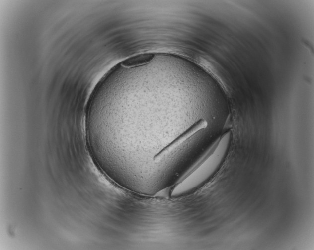 X0000099491092200806051053