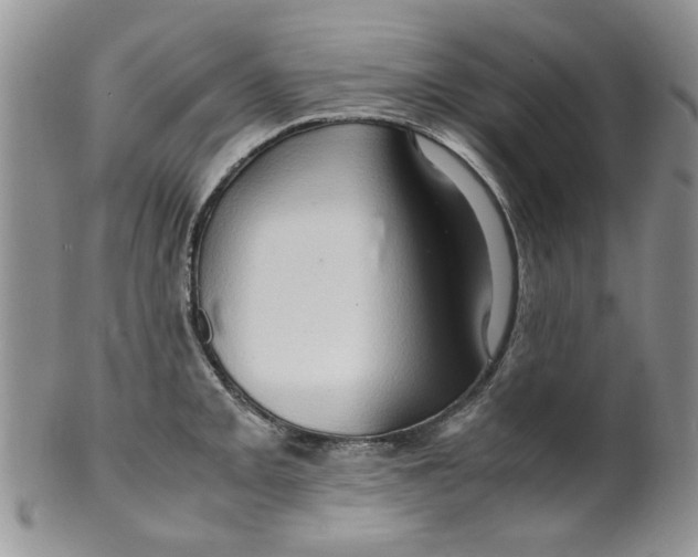 X0000099491093200806051053