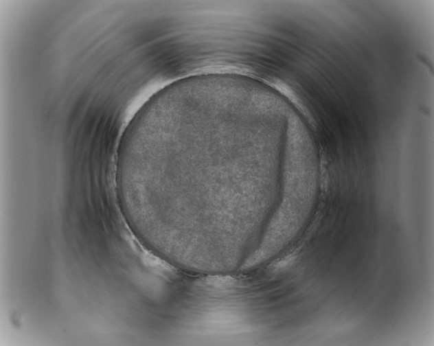 X0000099491094200806051053