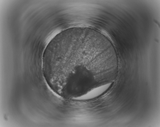 X0000099491095200806051053