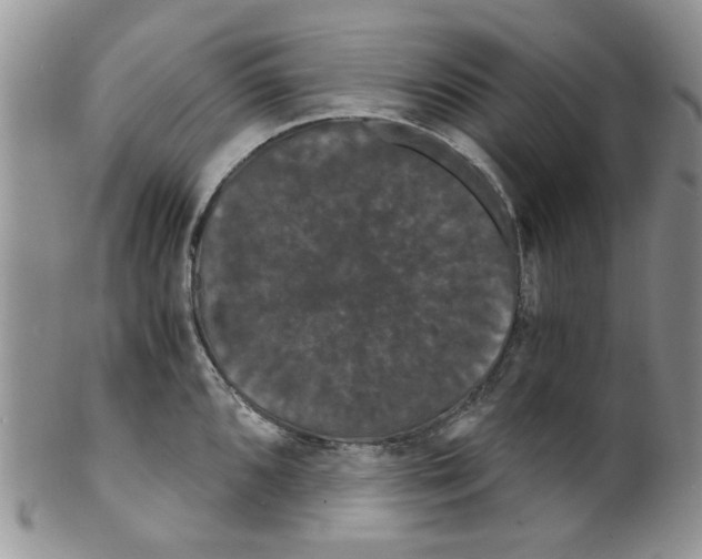 X0000099491096200806051053