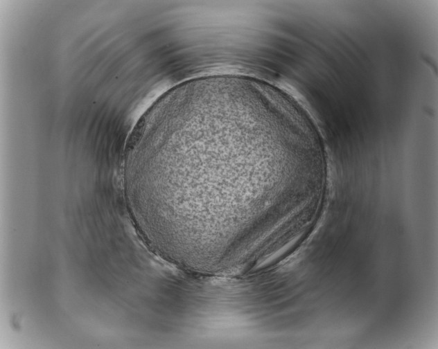 X0000099491097200806051053