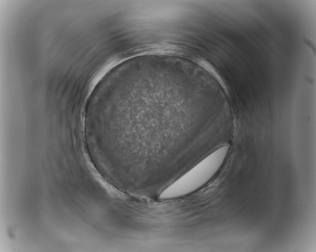 X0000099491099200806051053