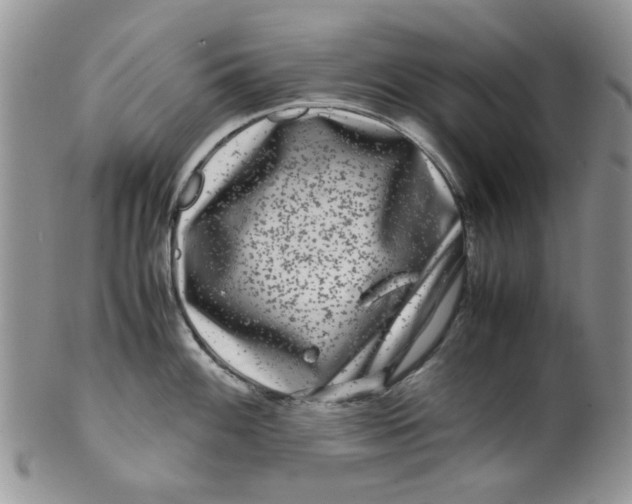 X0000099491100200806051053