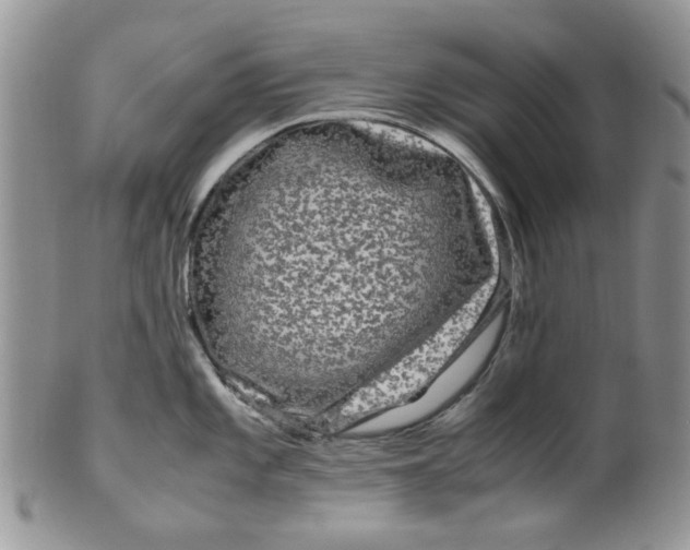 X0000099491101200806051053