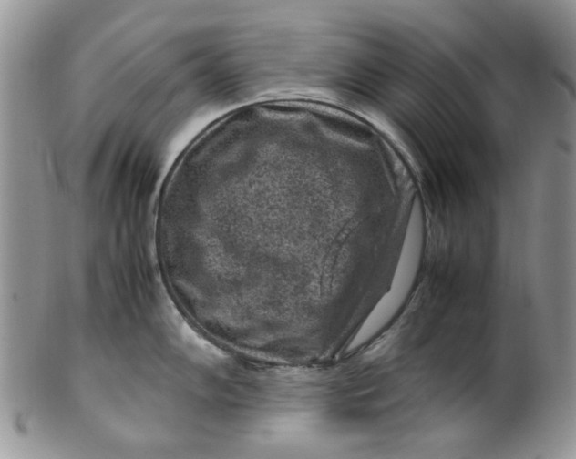 X0000099491102200806051053