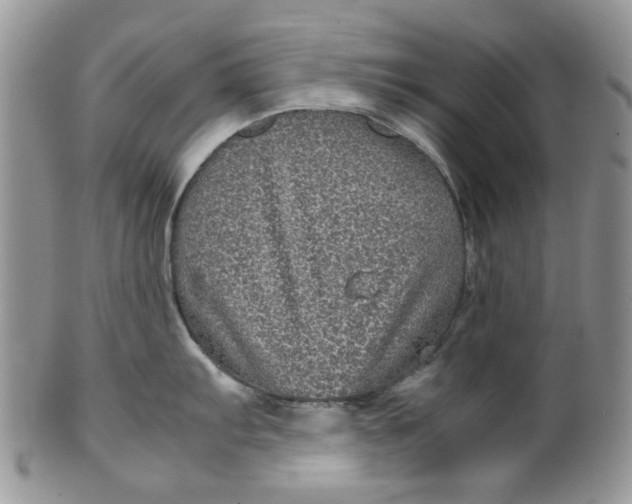 X0000099491103200806051053