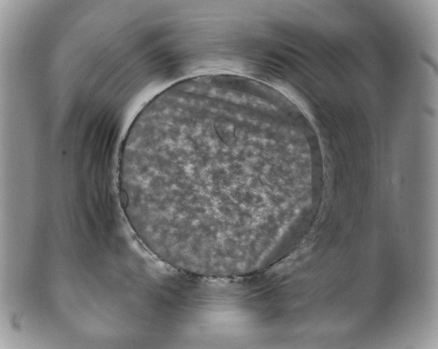 X0000099491104200806051053