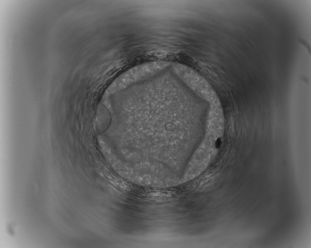 X0000099491105200806051052