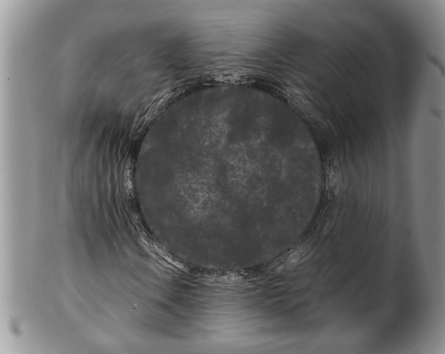 X0000099491106200806051052