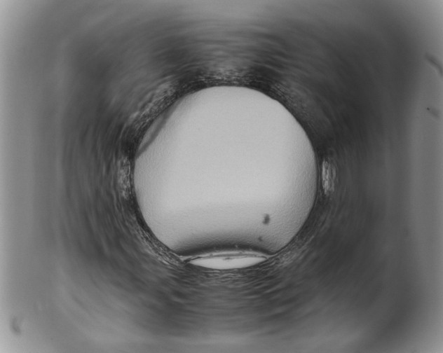 X0000099491107200806051052