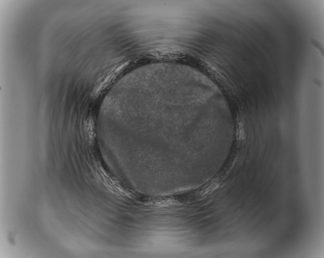 X0000099491108200806051052