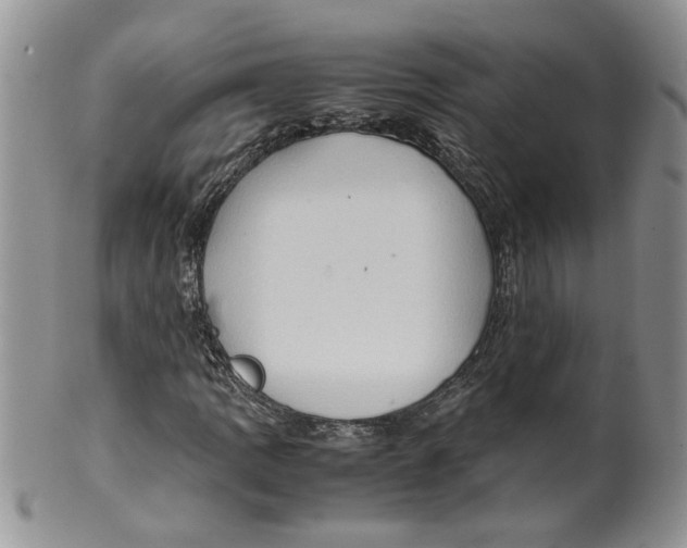 X0000099491109200806051052