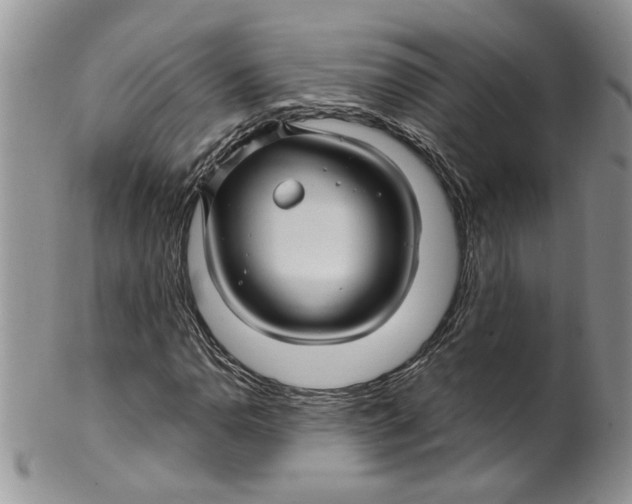 X0000099491110200806051052