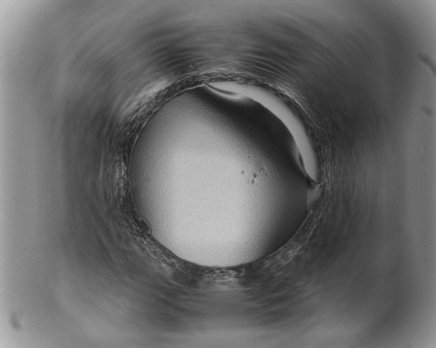 X0000099491111200806051052