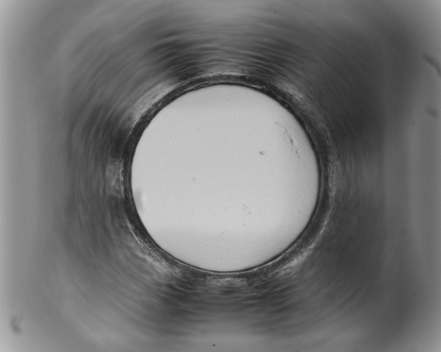 X0000099491113200806051052