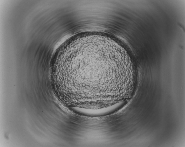 X0000099491114200806051052