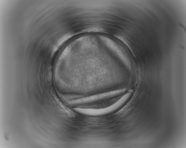 X0000099491115200806051052