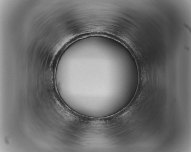 X0000099491118200806051052