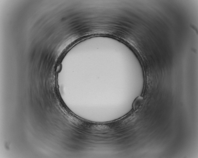 X0000099491119200806051052