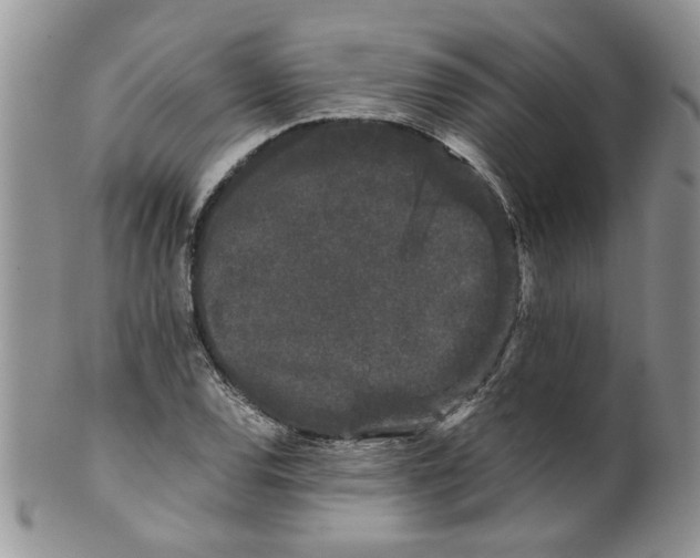 X0000099491120200806051052