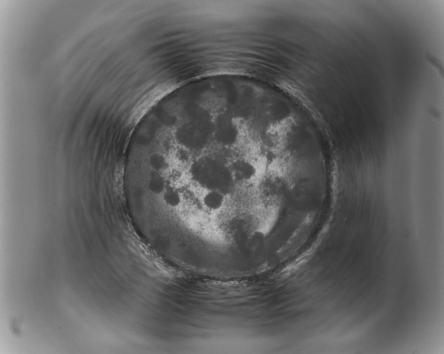 X0000099491121200806051052