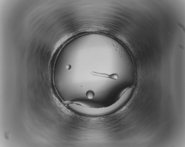 X0000099491122200806051052