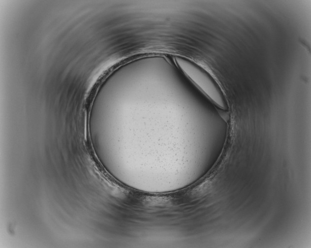 X0000099491123200806051052