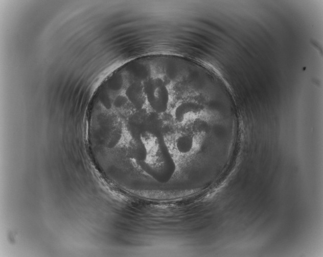 X0000099491125200806051052