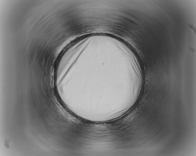 X0000099491126200806051052