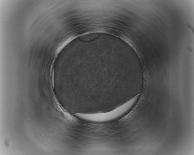 X0000099491127200806051052