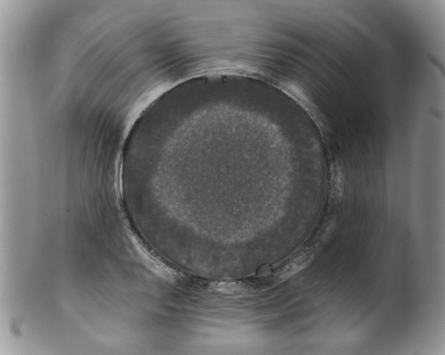 X0000099491128200806051052