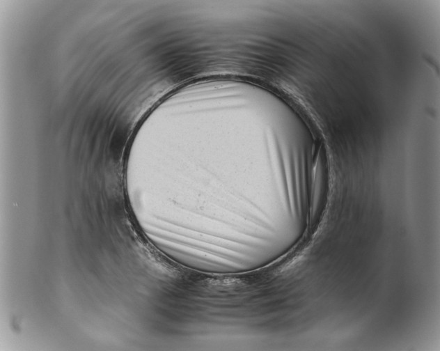 X0000099491129200806051052