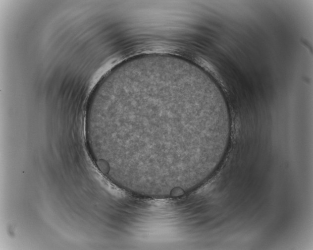 X0000099491130200806051052