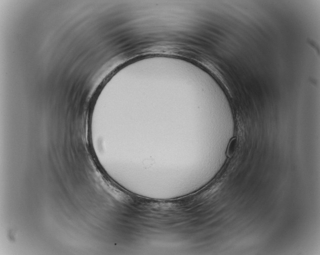 X0000099491131200806051052