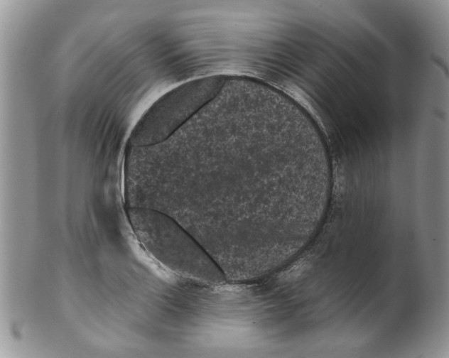 X0000099491132200806051053