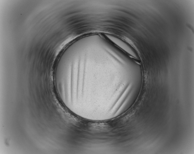 X0000099491133200806051053