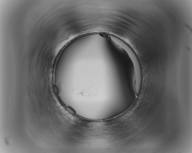 X0000099491134200806051053