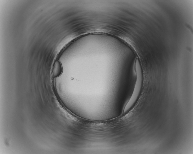 X0000099491135200806051053