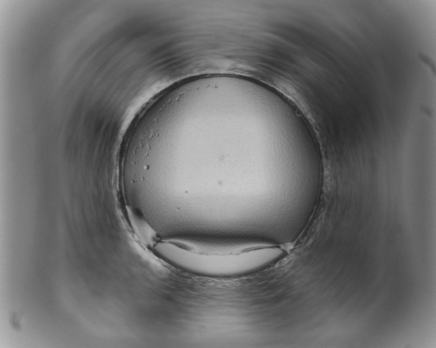 X0000099491136200806051053