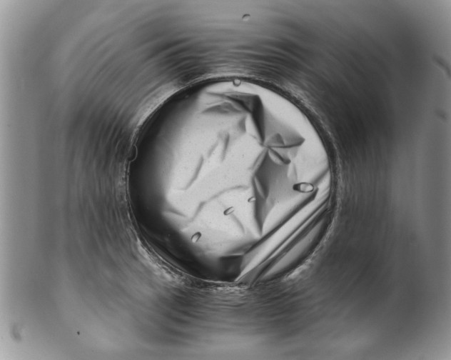 X0000099491137200806051053