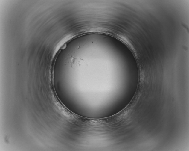 X0000099491138200806051053