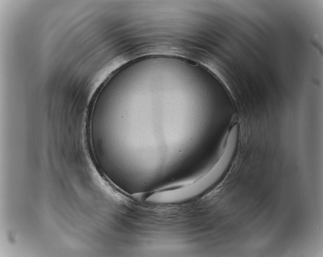 X0000099491139200806051053