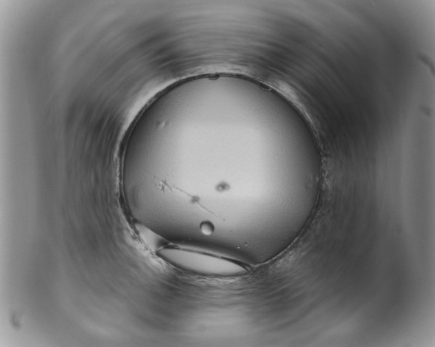 X0000099491140200806051053