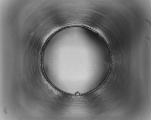 X0000099491142200806051053