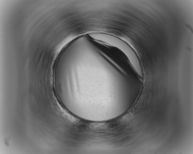 X0000099491143200806051053